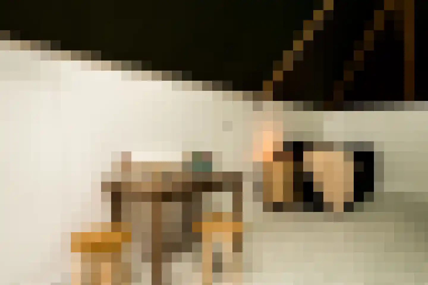 De Hullen 14 Drijber thumbnail 41