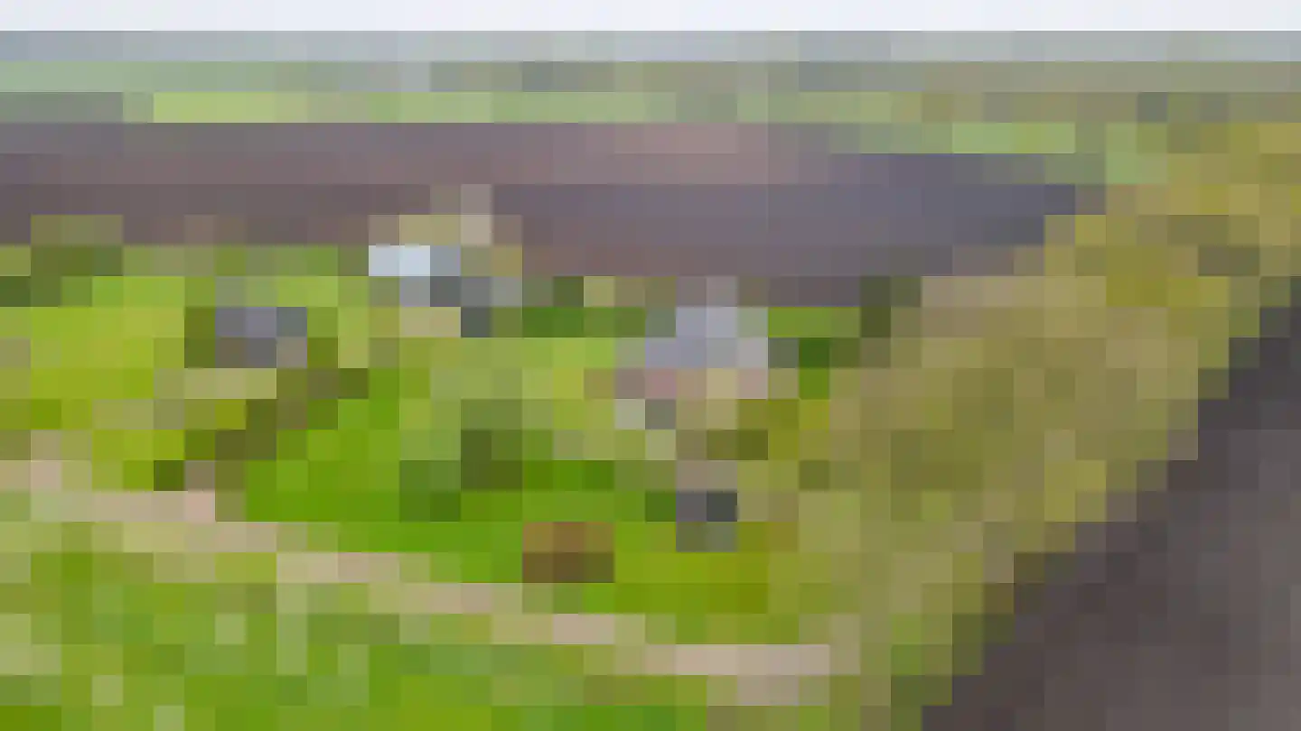 De Hullen 14 Drijber thumbnail 46