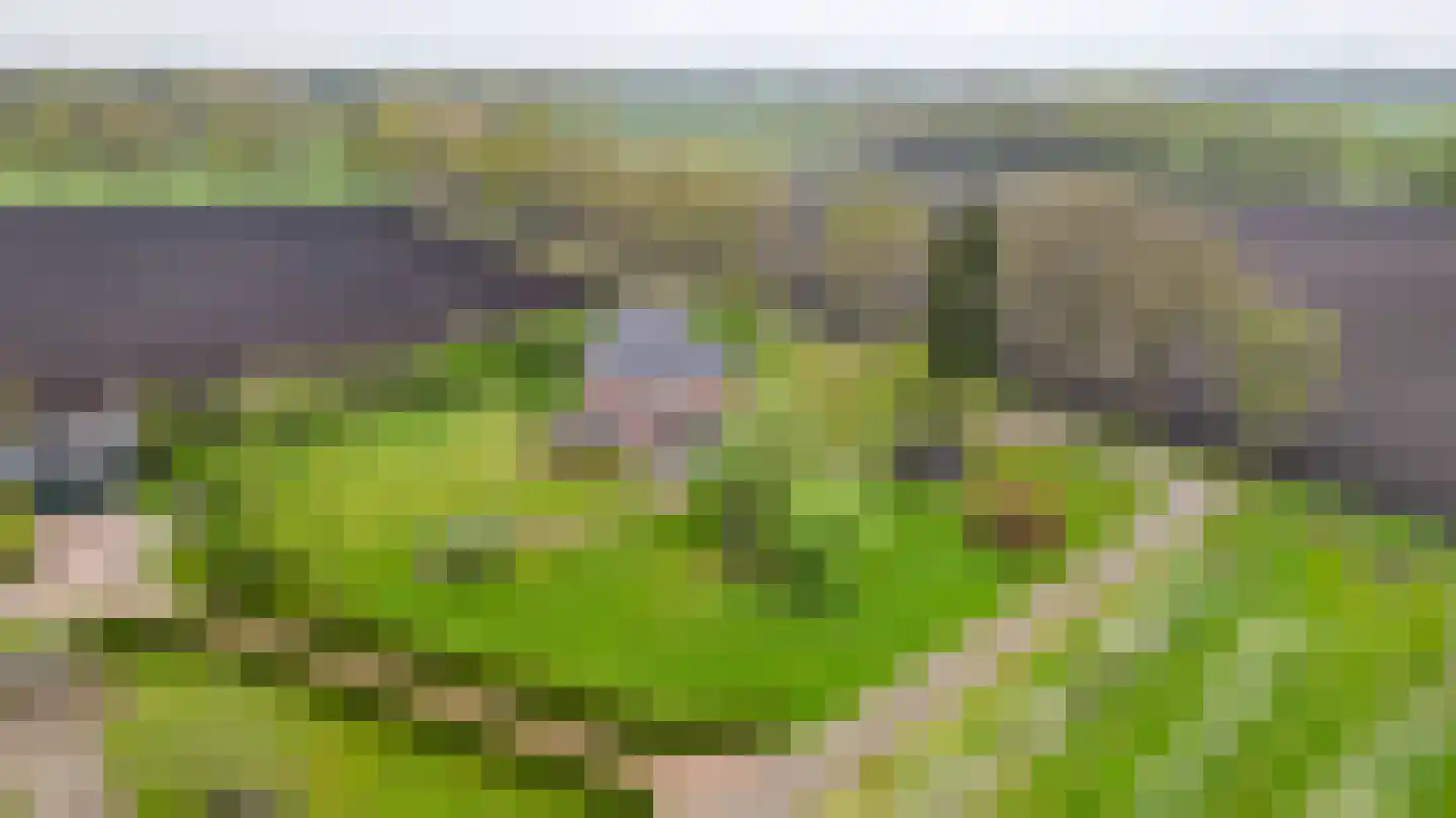 De Hullen 14 Drijber thumbnail 50