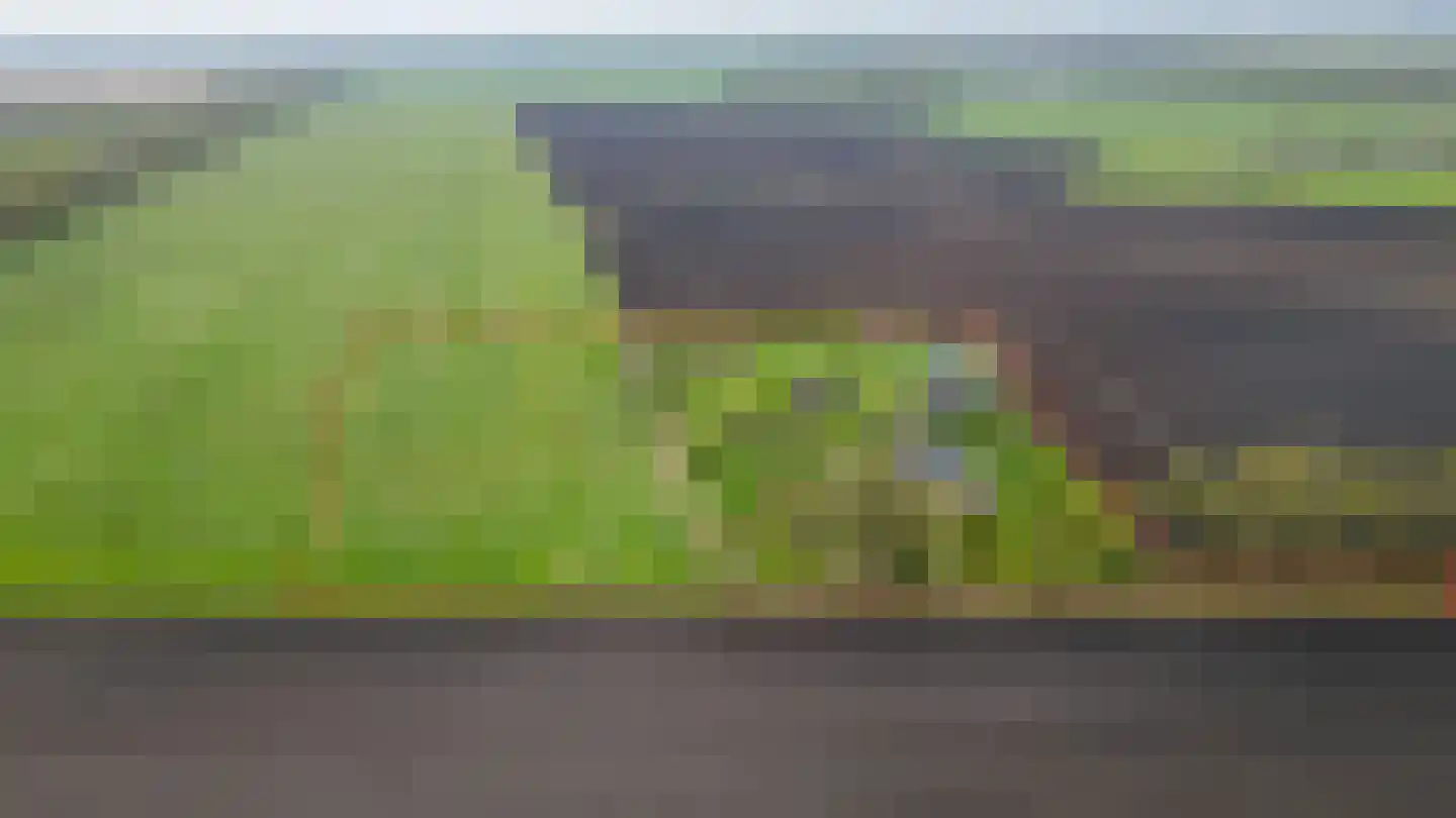 De Hullen 14 Drijber thumbnail 52