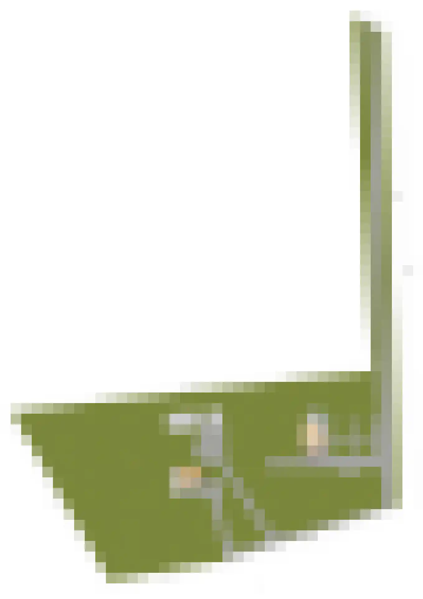 De Hullen 14 Drijber thumbnail 65