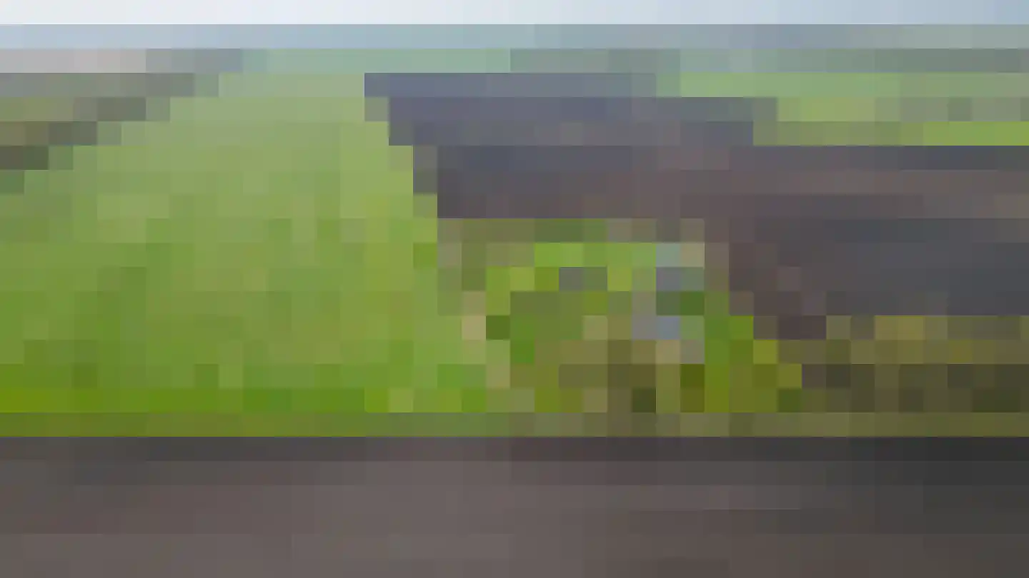 De Hullen 14 Drijber thumbnail 7