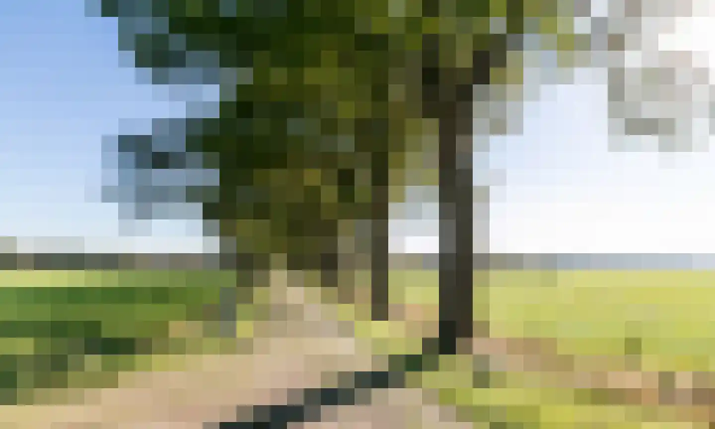 De Hullen 14 Drijber thumbnail 9