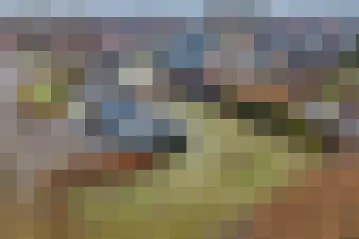 de Hulst 27 Roden thumbnail 12