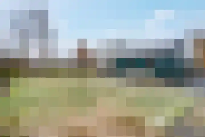 de Hulst 27 Roden thumbnail 15