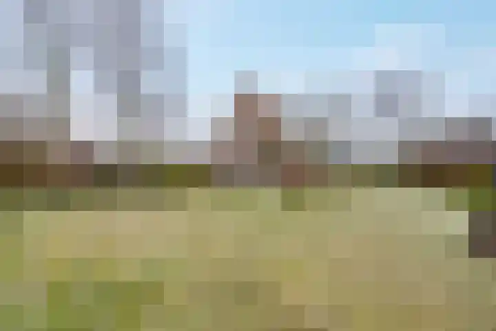 de Hulst 27 Roden thumbnail 16
