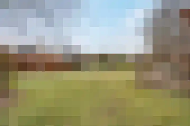 de Hulst 27 Roden thumbnail 18