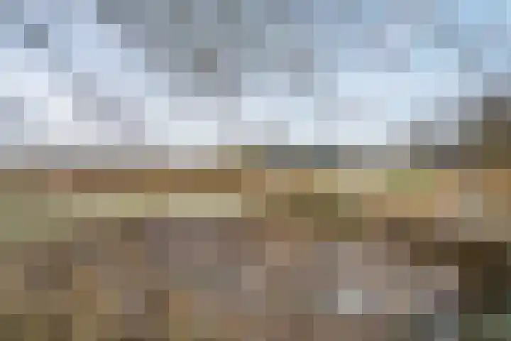 de Hulst 27 Roden thumbnail 19