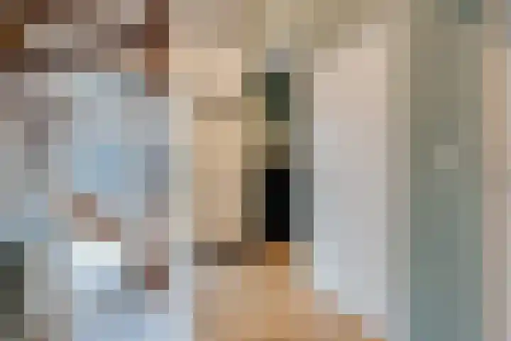 de Hulst 27 Roden thumbnail 21