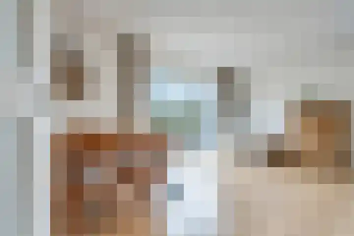 de Hulst 27 Roden thumbnail 23