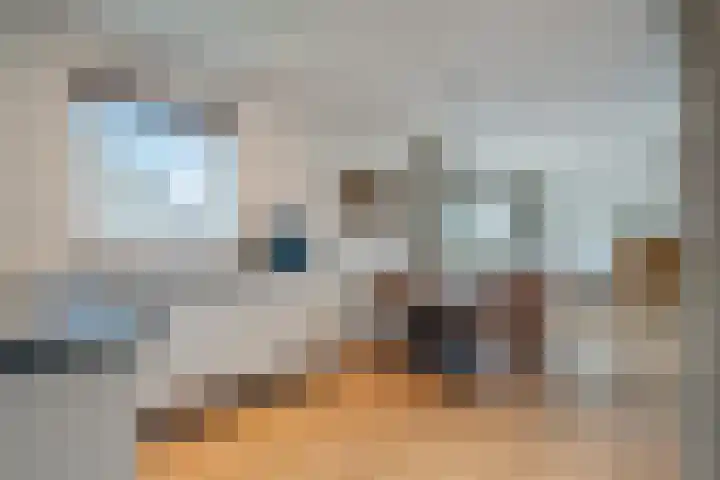 de Hulst 27 Roden thumbnail 34