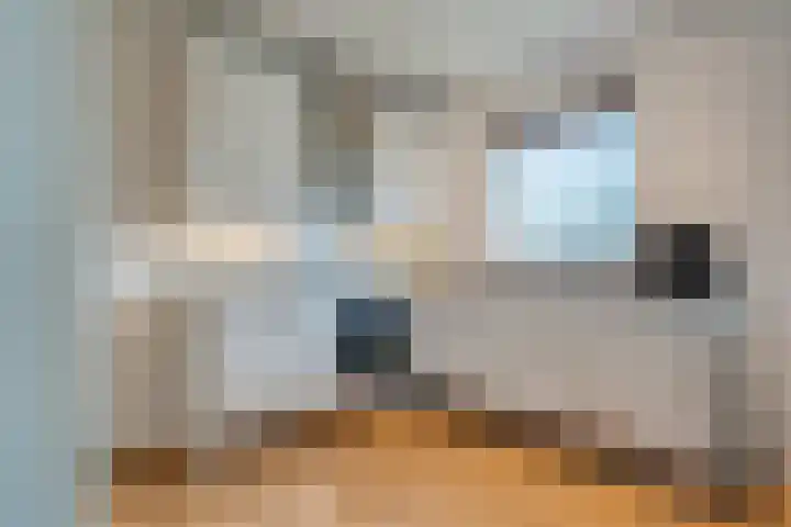 de Hulst 27 Roden thumbnail 35