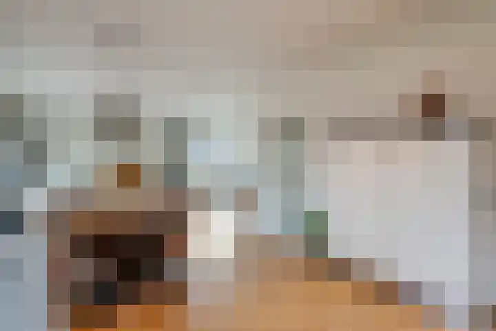 de Hulst 27 Roden thumbnail 36