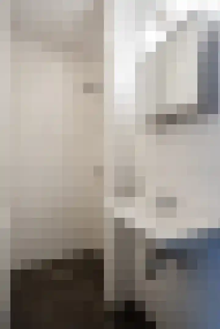 de Hulst 27 Roden thumbnail 41