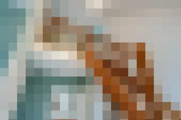 de Hulst 27 Roden thumbnail 43