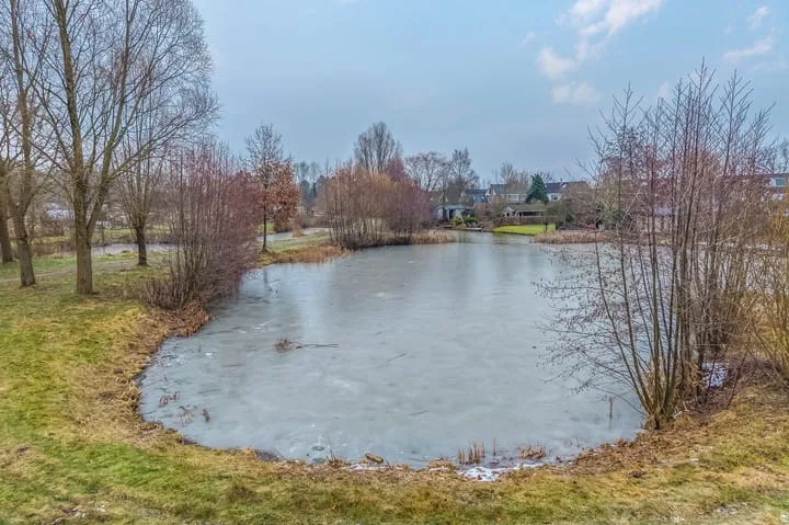 de Hulst 27 Roden thumbnail 5