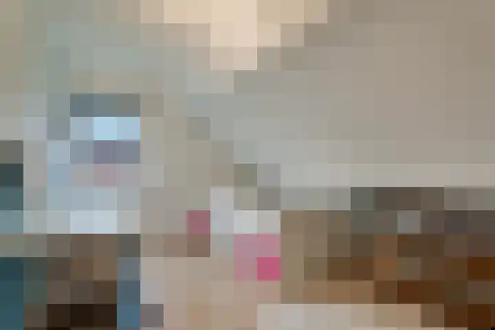 de Hulst 27 Roden thumbnail 50