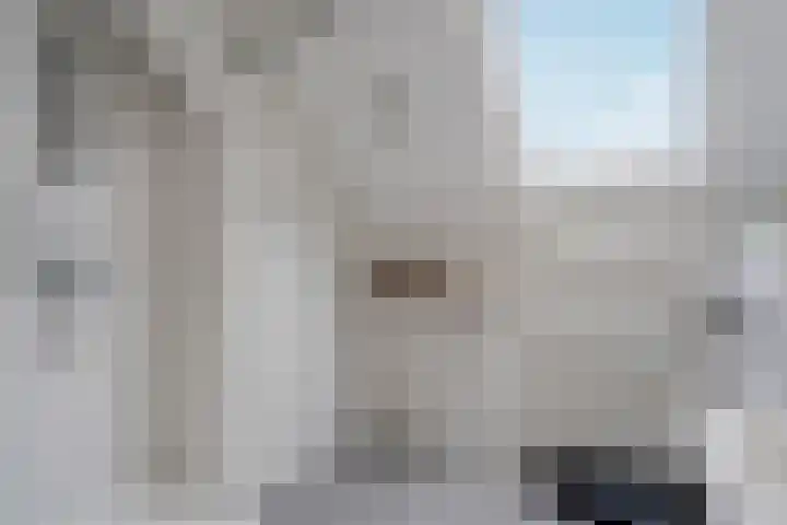 de Hulst 27 Roden thumbnail 54