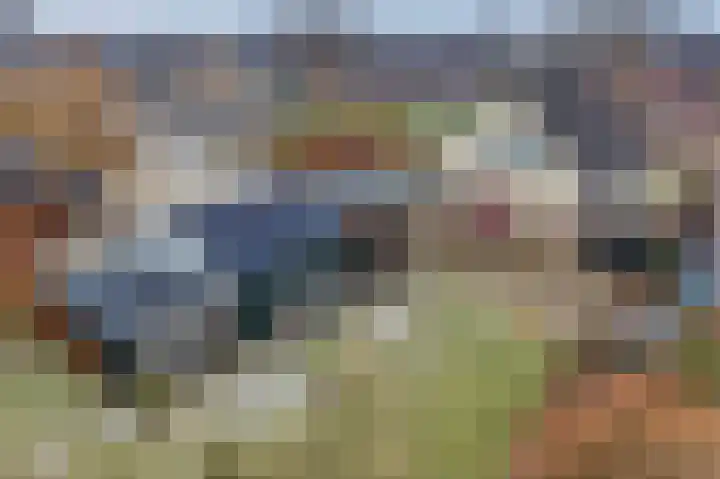 de Hulst 27 Roden thumbnail 63