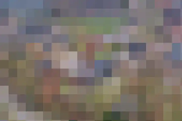 de Hulst 27 Roden thumbnail 65