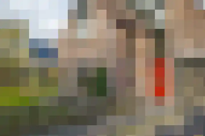 de Hulst 53 Roden thumbnail 10