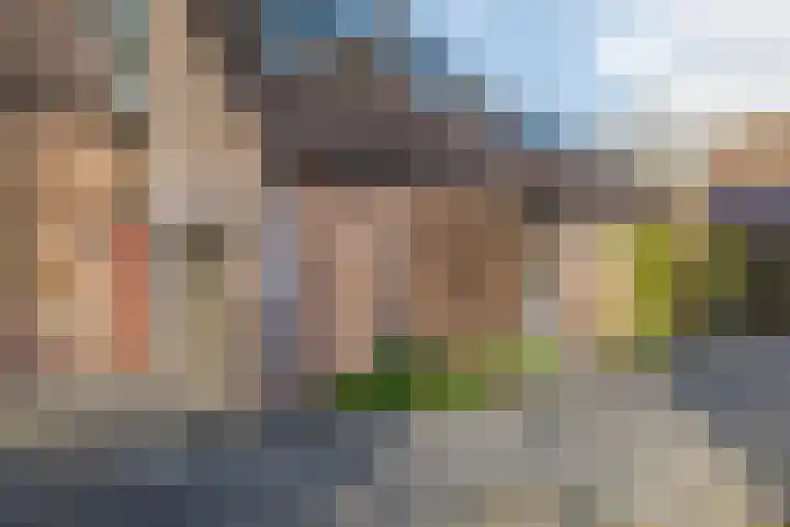 de Hulst 53 Roden thumbnail 11