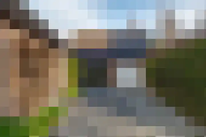 de Hulst 53 Roden thumbnail 12