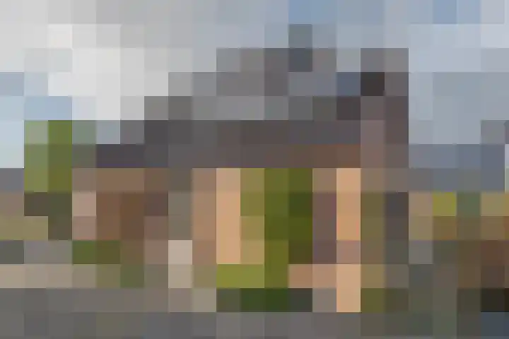de Hulst 53 Roden thumbnail 13
