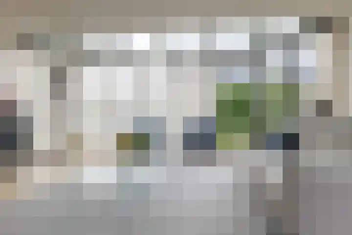 de Hulst 53 Roden thumbnail 17