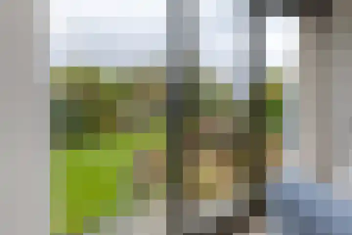 de Hulst 53 Roden thumbnail 19