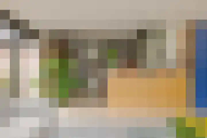 de Hulst 53 Roden thumbnail 21