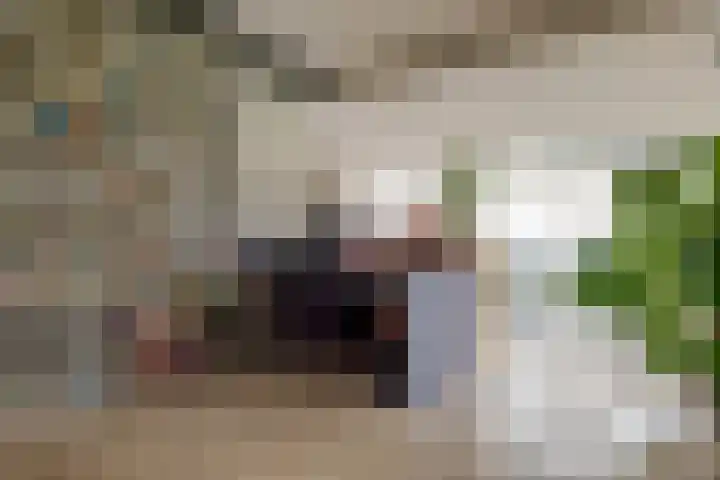 de Hulst 53 Roden thumbnail 22