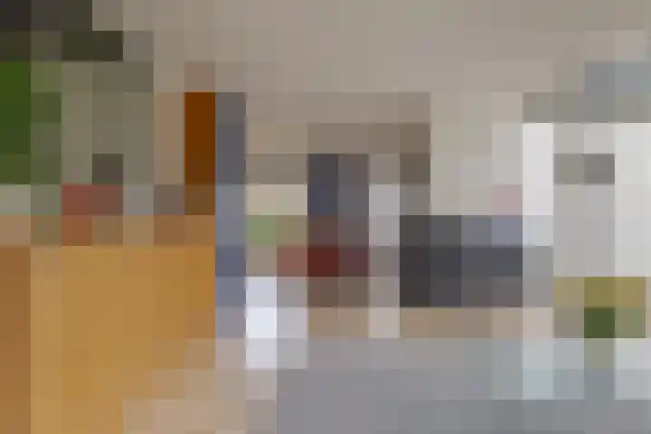 de Hulst 53 Roden thumbnail 25