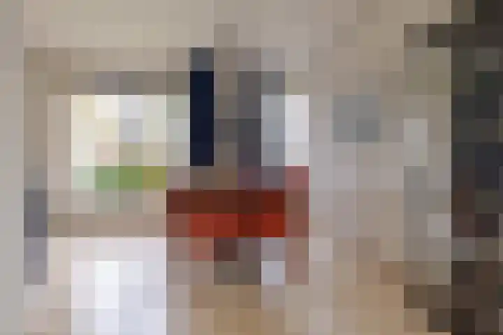 de Hulst 53 Roden thumbnail 26