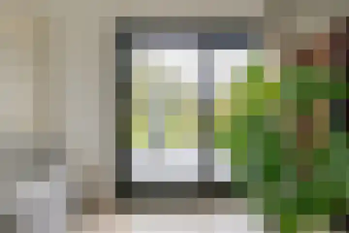 de Hulst 53 Roden thumbnail 30