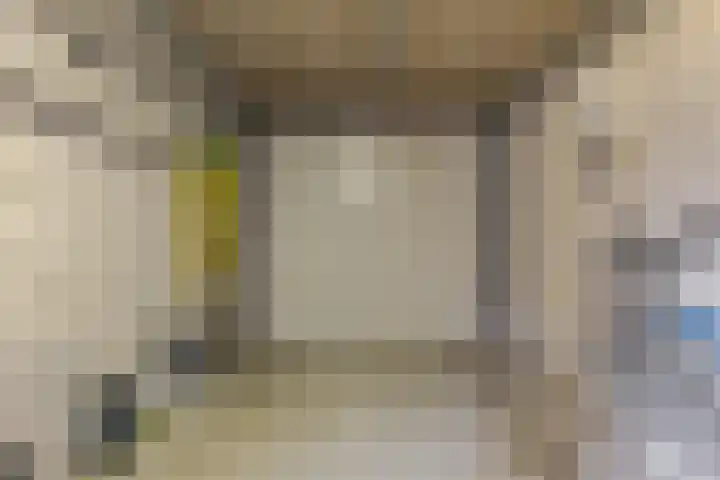 de Hulst 53 Roden thumbnail 36