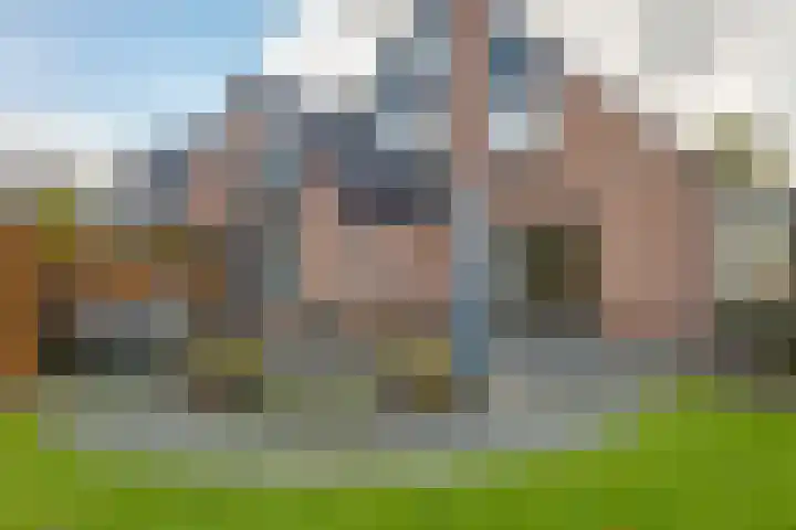 de Hulst 53 Roden thumbnail 38