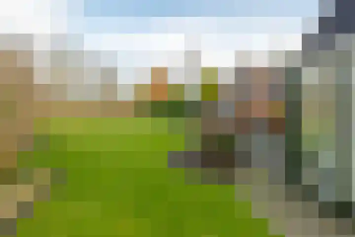 de Hulst 53 Roden thumbnail 4