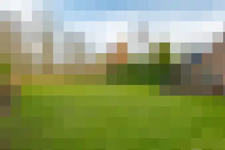 de Hulst 53 Roden thumbnail 40