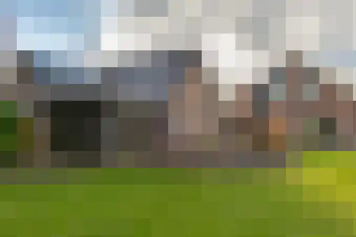 de Hulst 53 Roden thumbnail 43