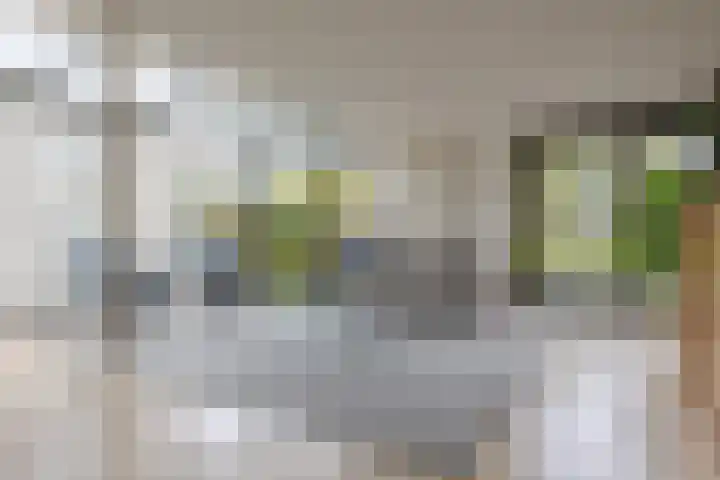 de Hulst 53 Roden thumbnail 5