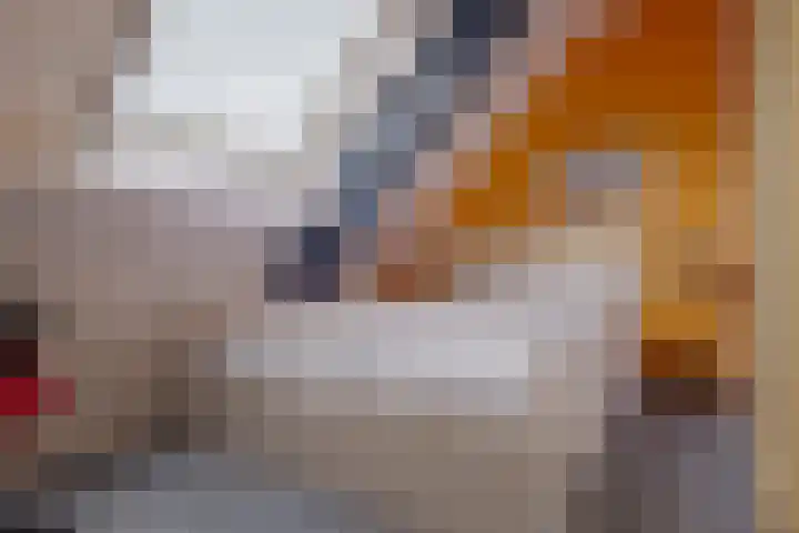 de Hulst 53 Roden thumbnail 54