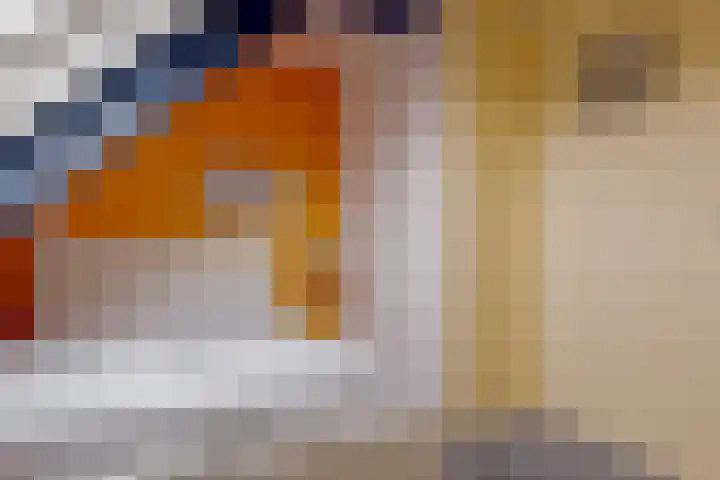 de Hulst 53 Roden thumbnail 55