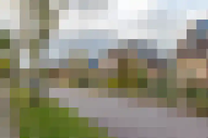 de Hulst 53 Roden thumbnail 6