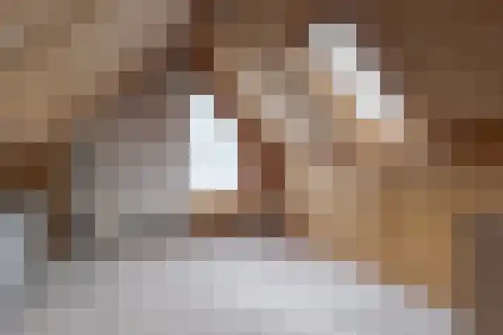 de Hulst 53 Roden thumbnail 63