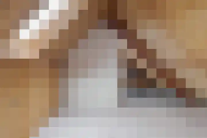 de Hulst 53 Roden thumbnail 64