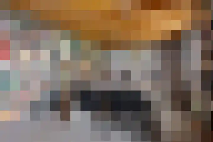 de Hulst 53 Roden thumbnail 65
