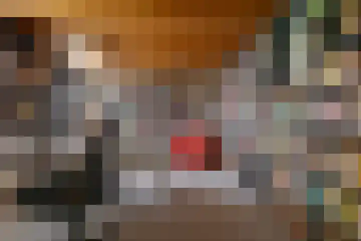 de Hulst 53 Roden thumbnail 67
