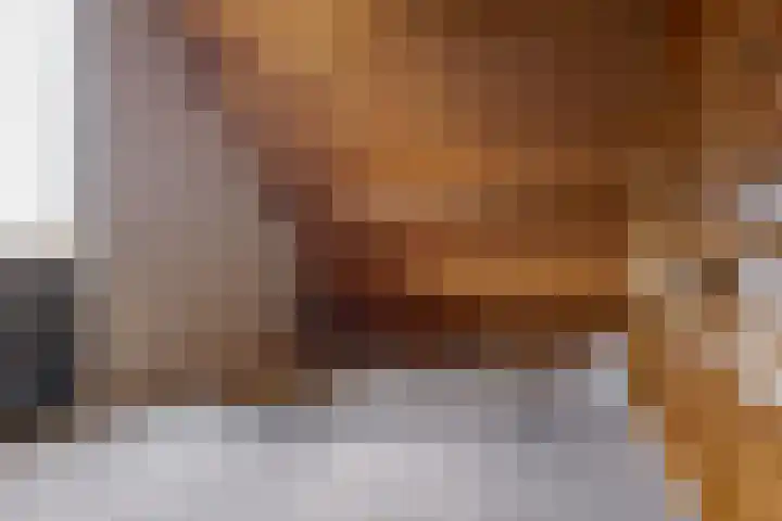 de Hulst 53 Roden thumbnail 68