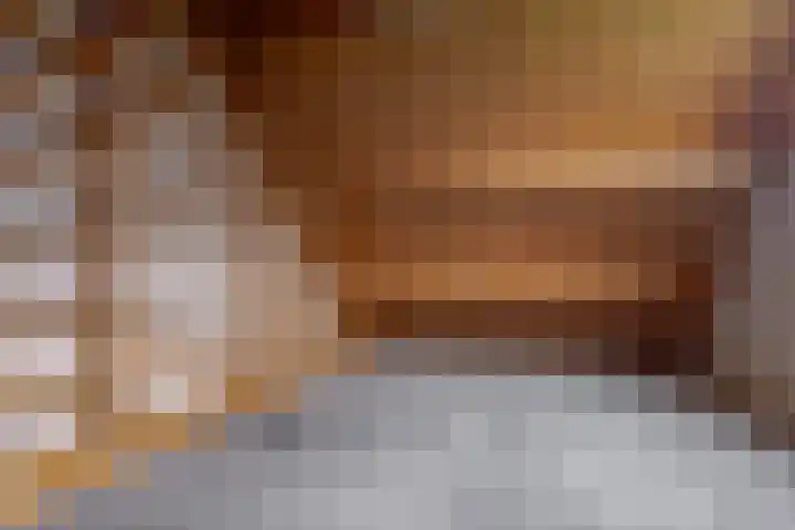 de Hulst 53 Roden thumbnail 69